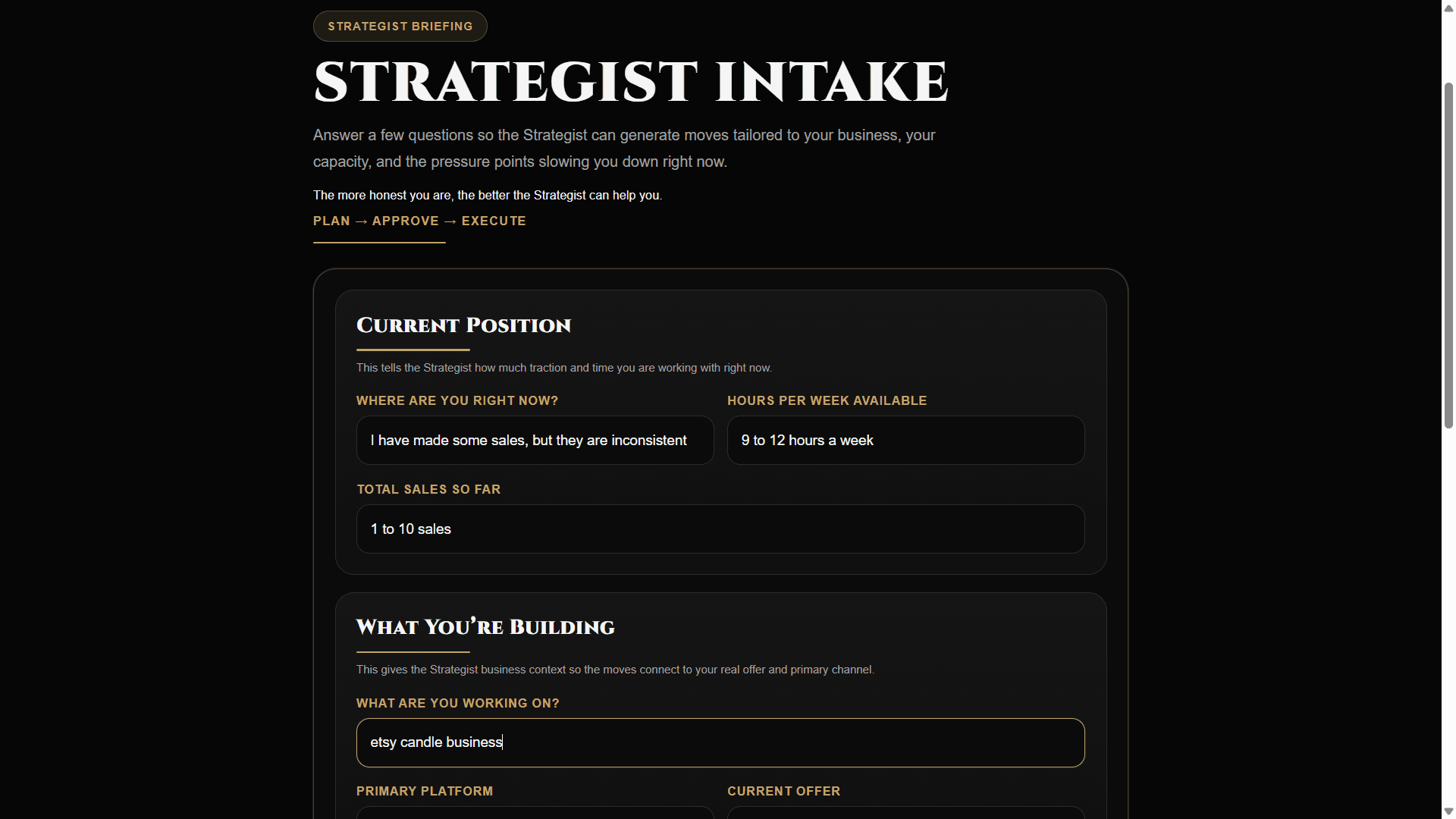 Strategist Intake